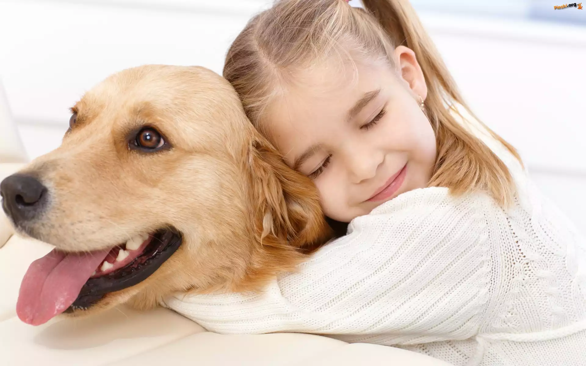 Retriever, Dziewczynka, Golden, Przyjazń