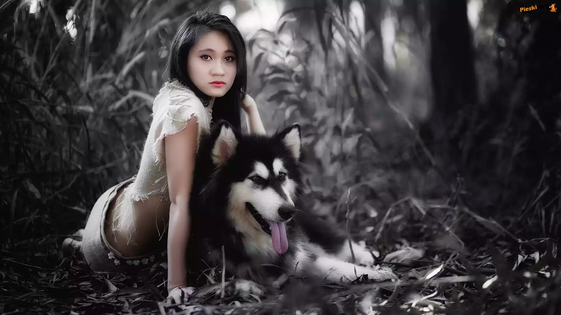 Kobieta, Rozmyte, Rośliny, Azjatka, Alaskan Malamute, Tło