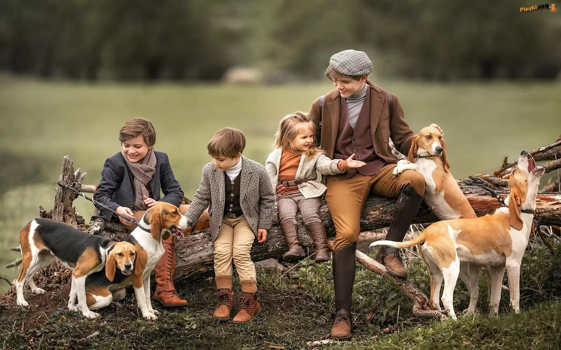 Beagle, Dzieci, Psy, Konar